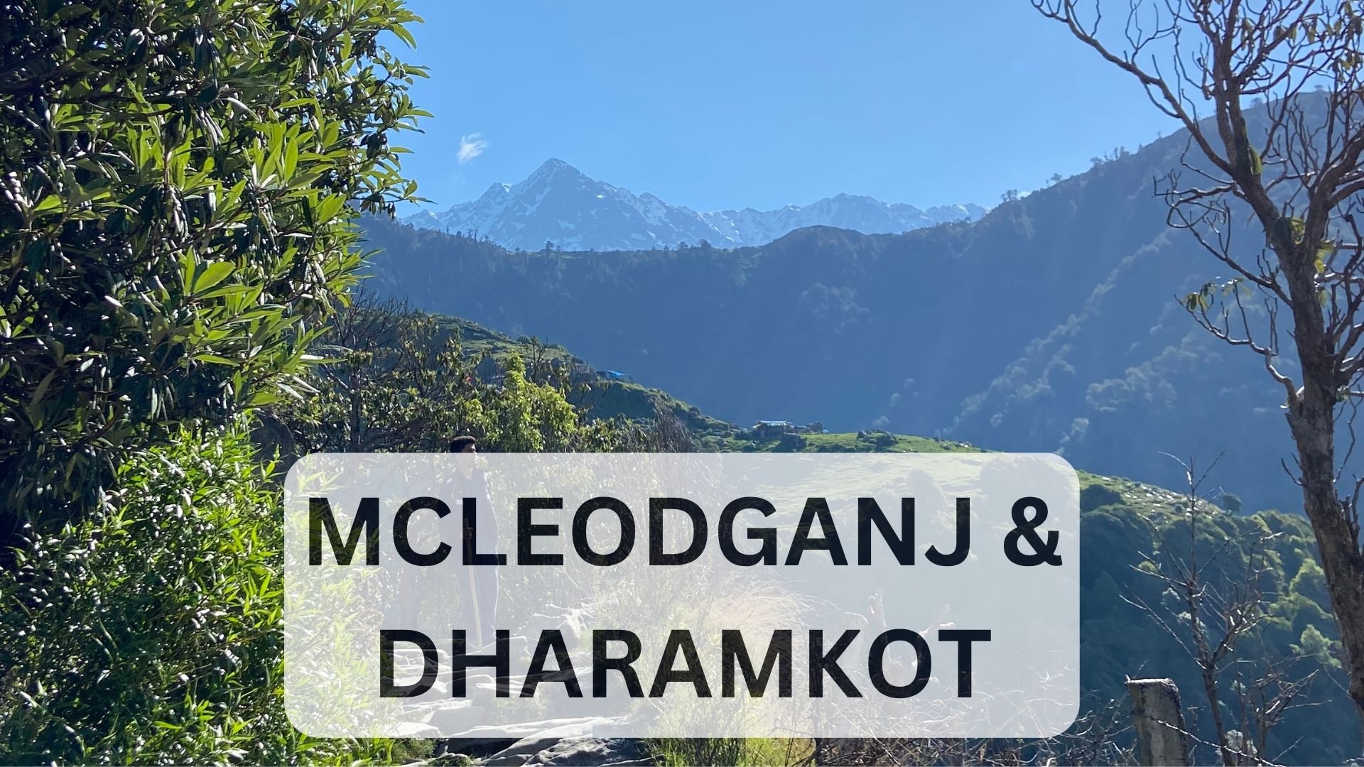 McLeodganj 4-Day Itinerary: Triund Trek, Dharamkot & Everything In Between