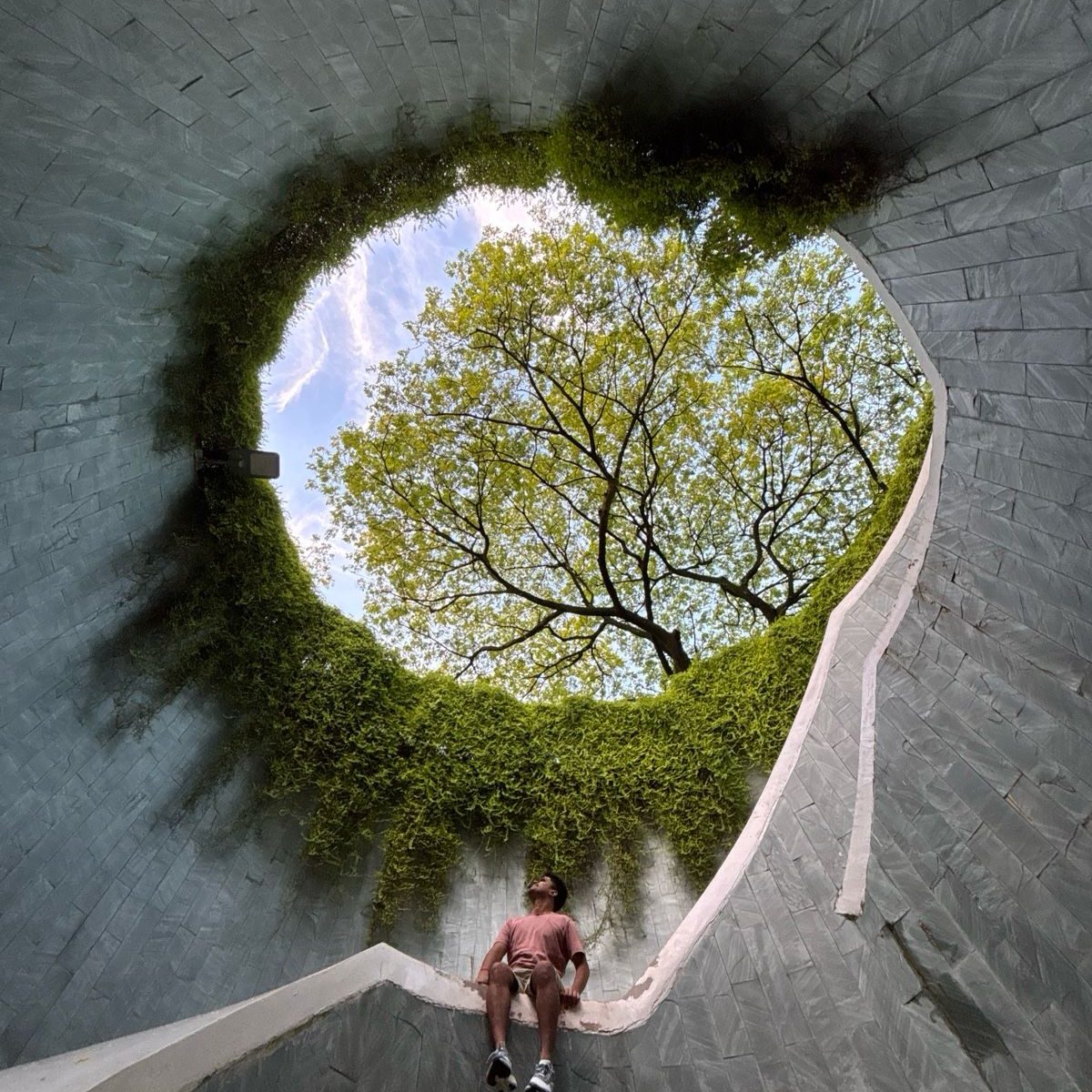 Fort Canning Park Viral Photo Spot